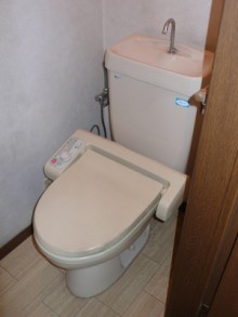 シンプルでお手頃!アメージュZに交換 シンプルでお手頃!アメージュZに交換